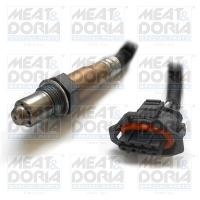 Oxygen Sensor